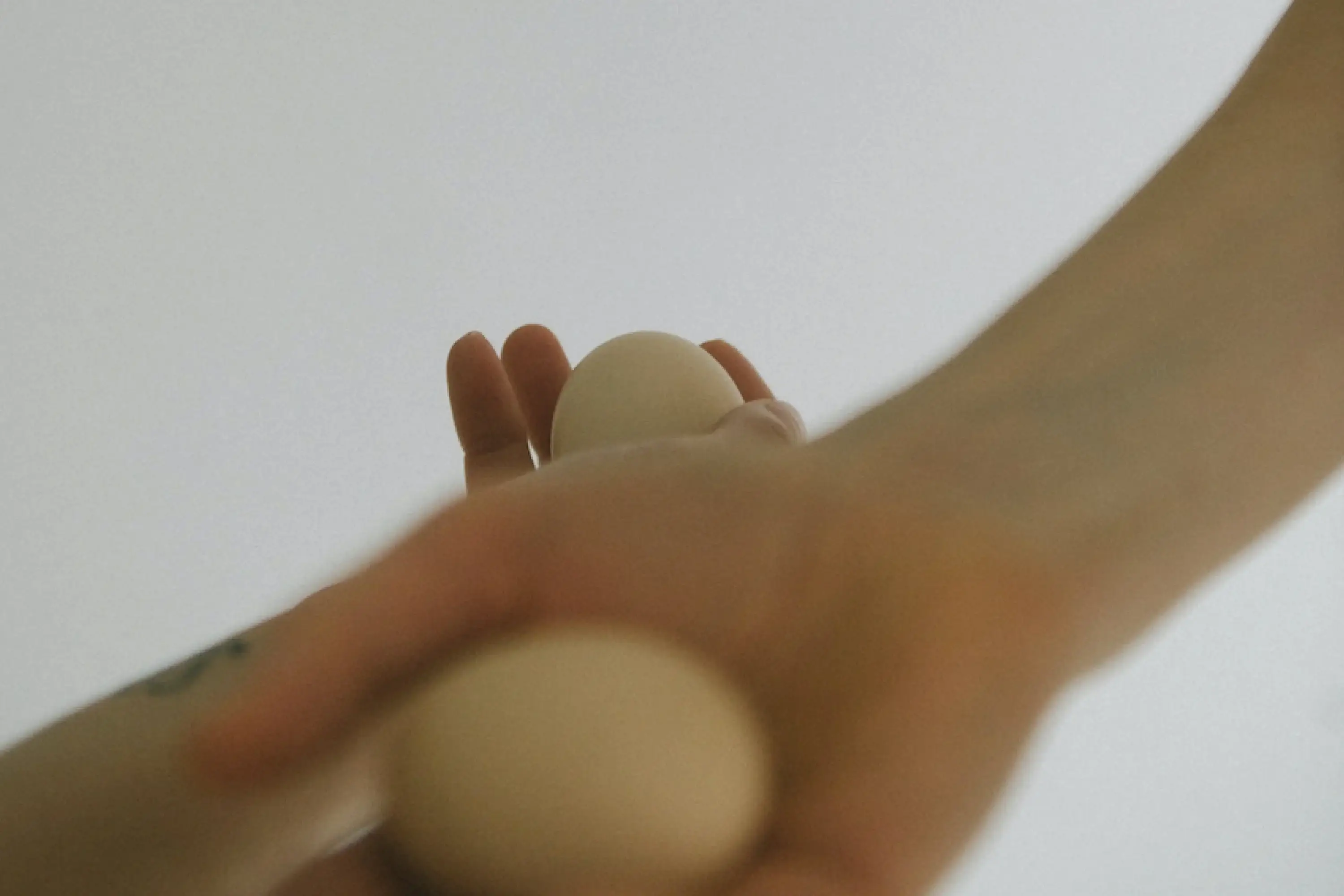 two hands gently holding an egg